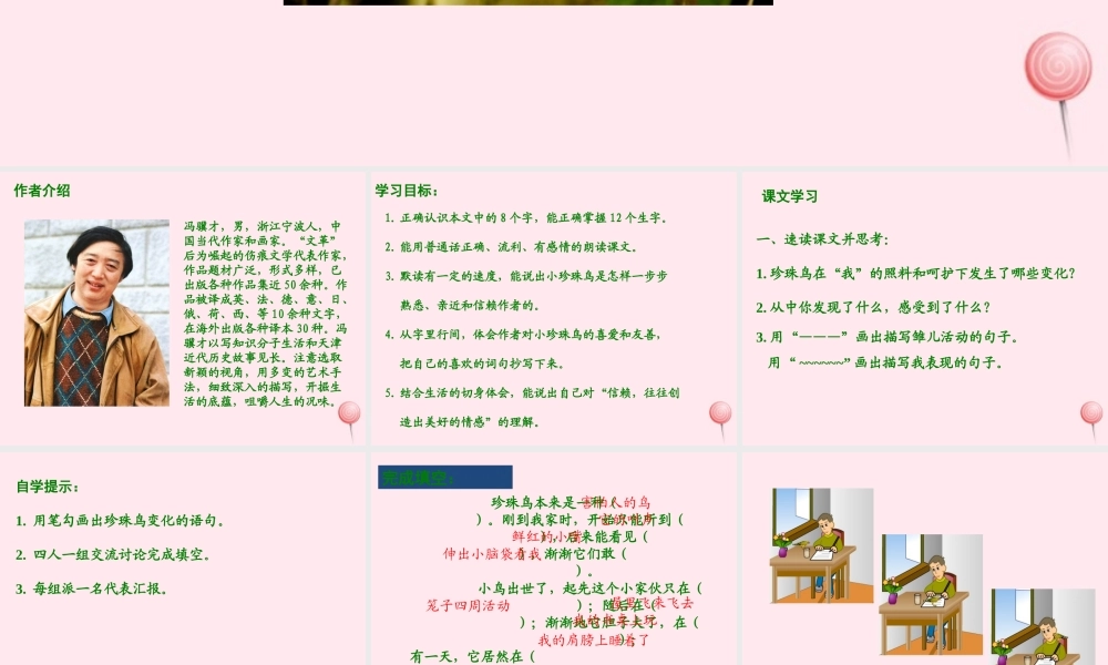 五年级语文上册 第一单元 2《珍珠鸟》同步课件 冀教版-冀教版小学五年级上册语文课件