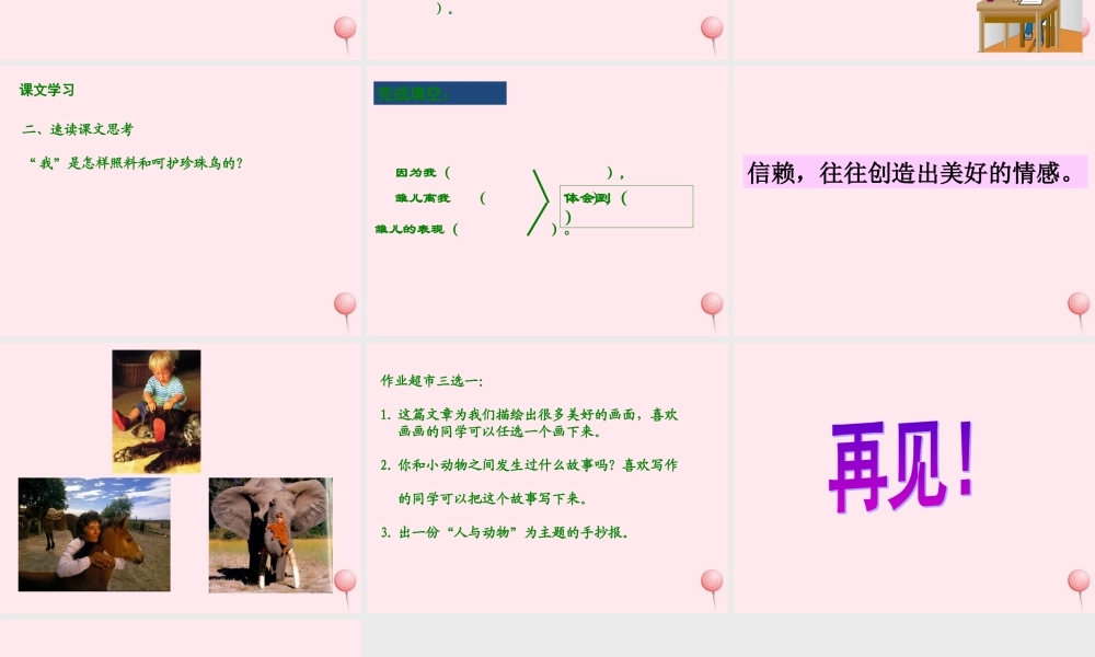 五年级语文上册 第一单元 2《珍珠鸟》同步课件 冀教版-冀教版小学五年级上册语文课件