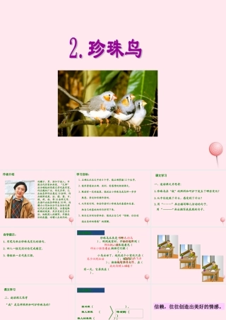 五年级语文上册 第一单元 2《珍珠鸟》同步课件 冀教版-冀教版小学五年级上册语文课件