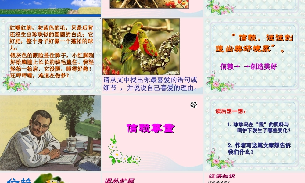 五年级语文上册 第一单元 2《珍珠鸟》同步优质课件 冀教版-冀教版小学五年级上册语文课件