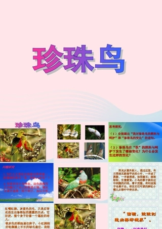 五年级语文上册 第一单元 2《珍珠鸟》同步优质课件 冀教版-冀教版小学五年级上册语文课件
