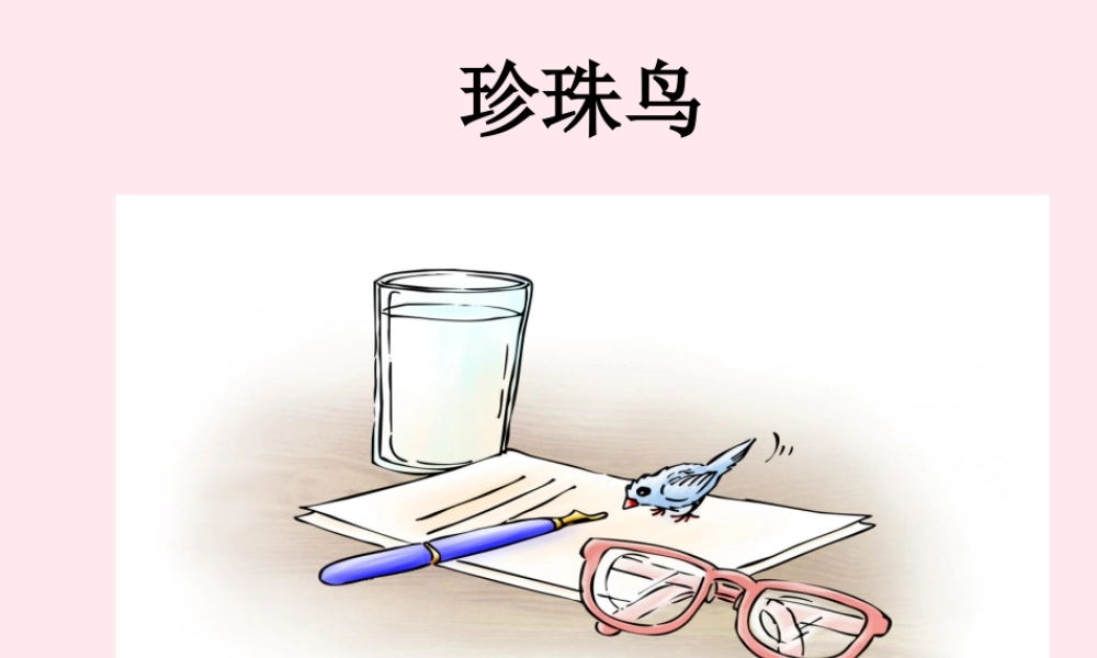 五年级语文上册 第一单元 2《珍珠鸟》优培课件 冀教版-冀教版小学五年级上册语文课件