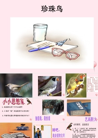五年级语文上册 第一单元 2《珍珠鸟》优培课件 冀教版-冀教版小学五年级上册语文课件