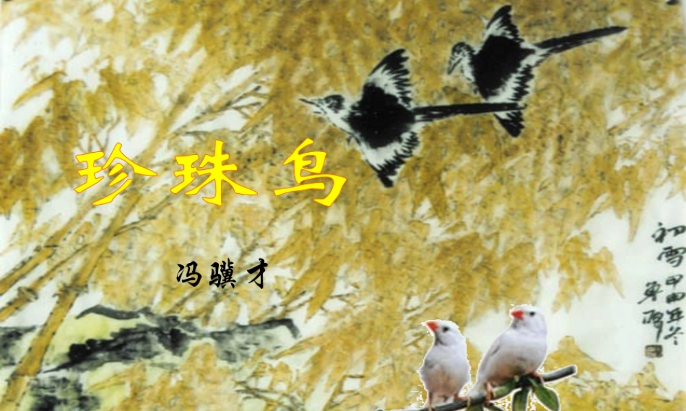 五年级语文上册 第一单元 2《珍珠鸟》原创课件 冀教版-冀教版小学五年级上册语文课件