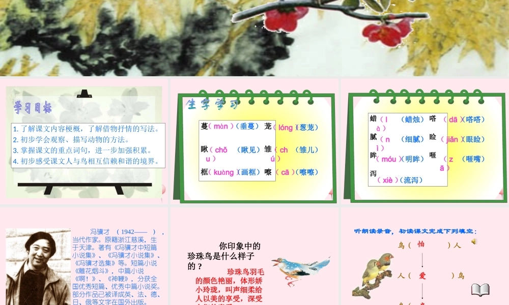 五年级语文上册 第一单元 2《珍珠鸟》原创课件 冀教版-冀教版小学五年级上册语文课件