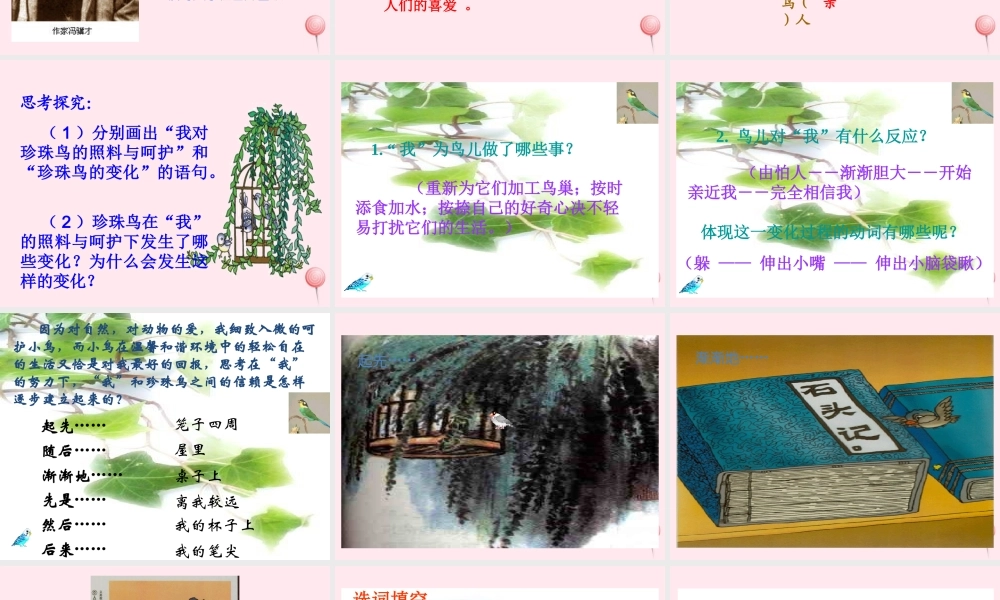 五年级语文上册 第一单元 2《珍珠鸟》原创课件 冀教版-冀教版小学五年级上册语文课件
