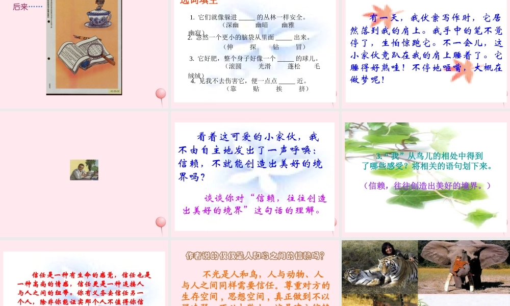五年级语文上册 第一单元 2《珍珠鸟》原创课件 冀教版-冀教版小学五年级上册语文课件