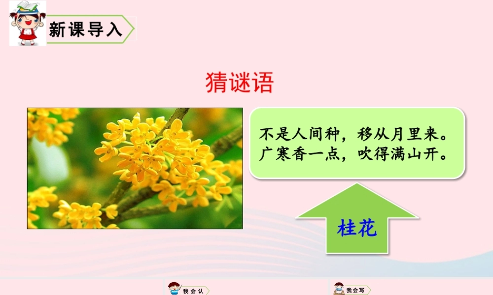 五年级语文上册 第一单元 3 桂花雨教学课件 新人教版-新人教版小学五年级上册语文课件