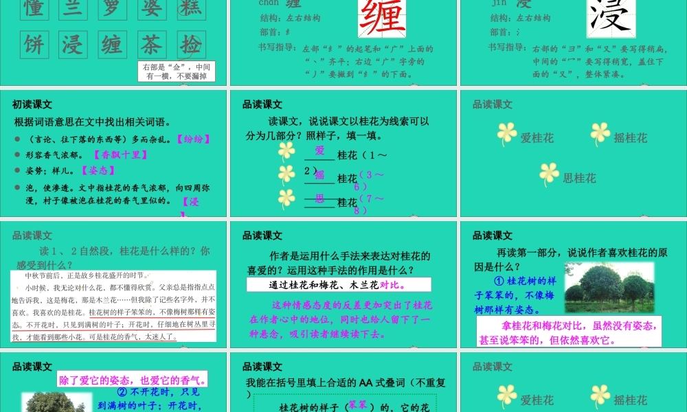 五年级语文上册 第一单元 3 桂花雨课件