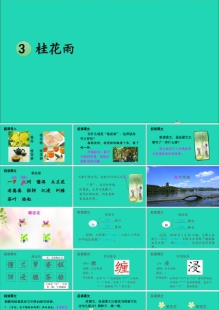 五年级语文上册 第一单元 3 桂花雨课件