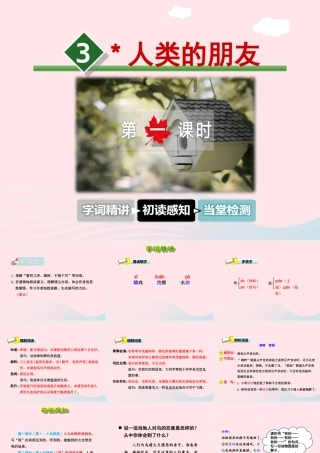 五年级语文上册 第一单元 3《人类的朋友》第1课时课件 冀教版-冀教版小学五年级上册语文课件