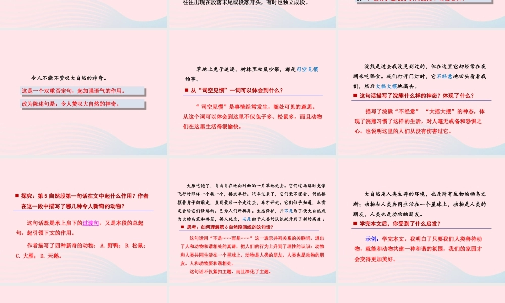 五年级语文上册 第一单元 3《人类的朋友》第2课时课件 冀教版-冀教版小学五年级上册语文课件