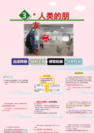 五年级语文上册 第一单元 3《人类的朋友》第2课时课件 冀教版-冀教版小学五年级上册语文课件