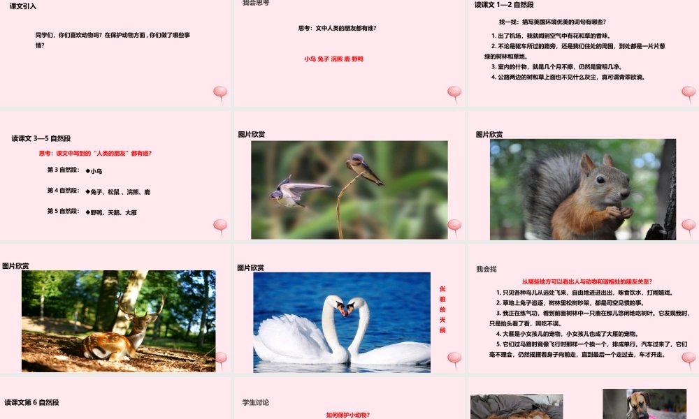 五年级语文上册 第一单元 3《人类的朋友》教学课件 冀教版-冀教版小学五年级上册语文课件
