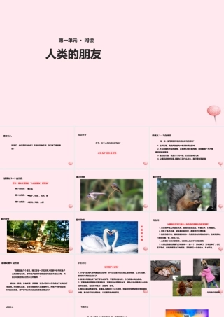 五年级语文上册 第一单元 3《人类的朋友》教学课件 冀教版-冀教版小学五年级上册语文课件