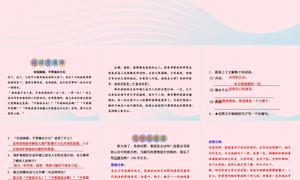 五年级语文上册 第一单元 3《人类的朋友》课后作业（A组）课件 冀教版-冀教版小学五年级上册语文课件