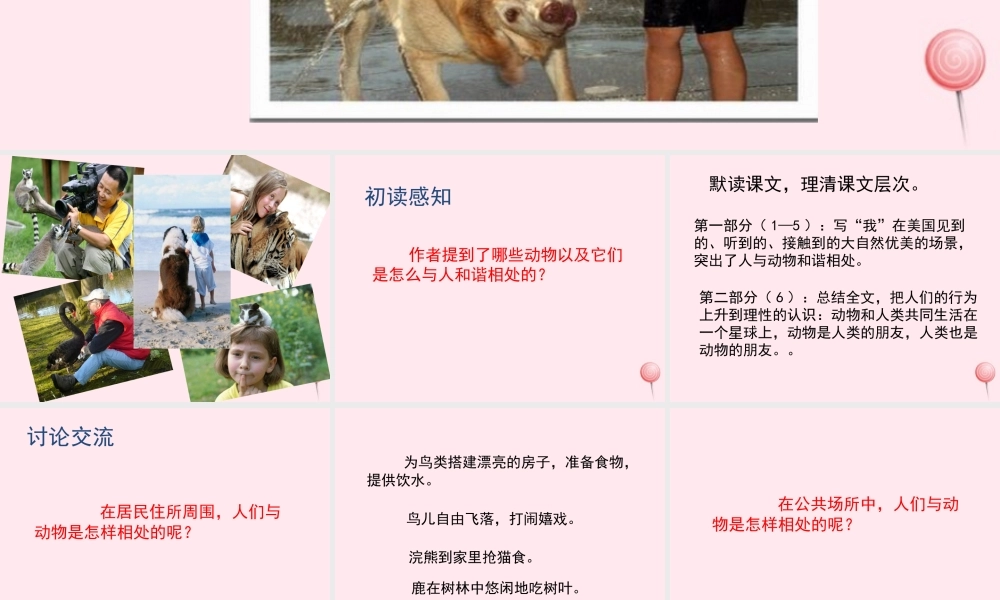 五年级语文上册 第一单元 3《人类的朋友》培优课件 冀教版-冀教版小学五年级上册语文课件