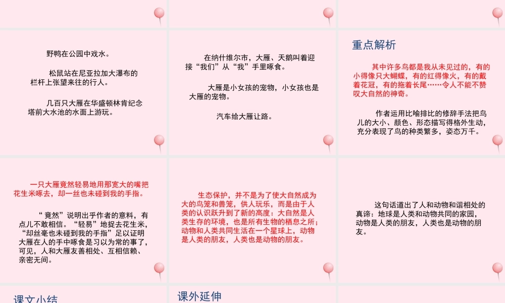 五年级语文上册 第一单元 3《人类的朋友》培优课件 冀教版-冀教版小学五年级上册语文课件
