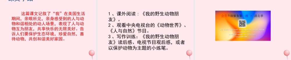 五年级语文上册 第一单元 3《人类的朋友》培优课件 冀教版-冀教版小学五年级上册语文课件