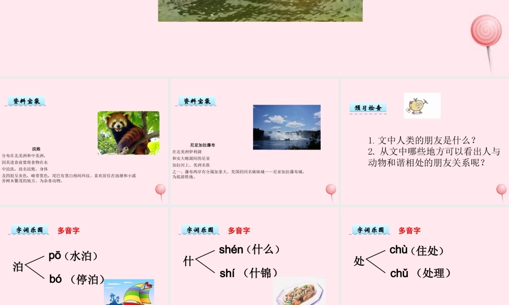 五年级语文上册 第一单元 3《人类的朋友》优佳课件 冀教版-冀教版小学五年级上册语文课件