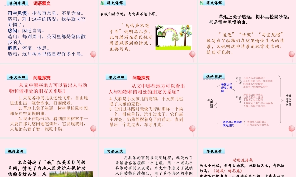 五年级语文上册 第一单元 3《人类的朋友》优佳课件 冀教版-冀教版小学五年级上册语文课件