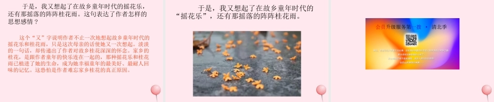 五年级语文上册 第一单元 3桂花雨课件 新人教版-新人教版小学五年级上册语文课件