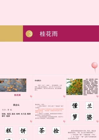 五年级语文上册 第一单元 3桂花雨课件 新人教版-新人教版小学五年级上册语文课件