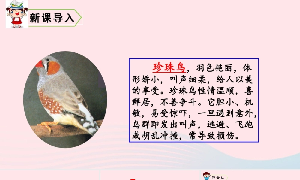 五年级语文上册 第一单元 4 珍珠鸟教学课件 新人教版-新人教版小学五年级上册语文课件