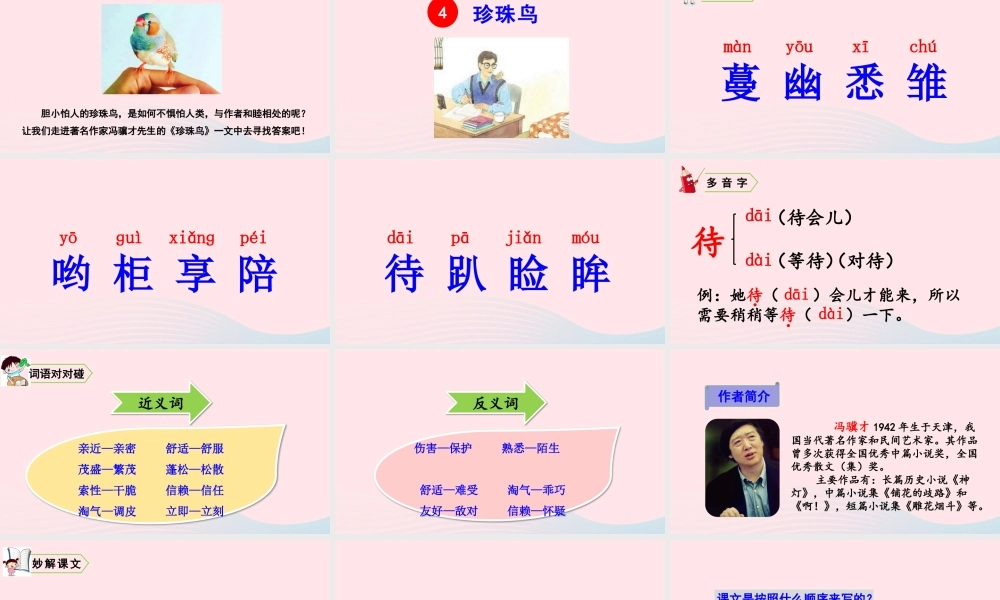 五年级语文上册 第一单元 4 珍珠鸟教学课件 新人教版-新人教版小学五年级上册语文课件