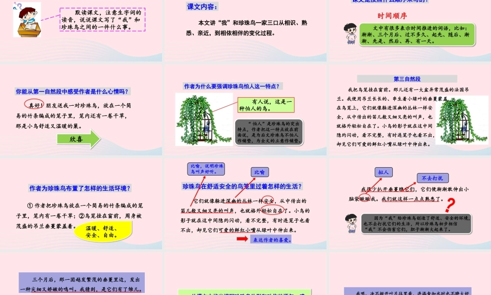 五年级语文上册 第一单元 4 珍珠鸟教学课件 新人教版-新人教版小学五年级上册语文课件
