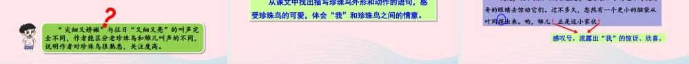 五年级语文上册 第一单元 4 珍珠鸟教学课件 新人教版-新人教版小学五年级上册语文课件