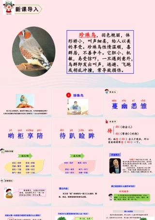 五年级语文上册 第一单元 4 珍珠鸟教学课件 新人教版-新人教版小学五年级上册语文课件