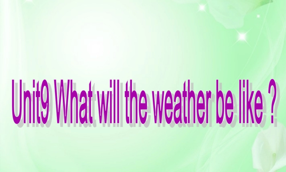 五年级英语下册 Unit 9（7）课件 广东版开心