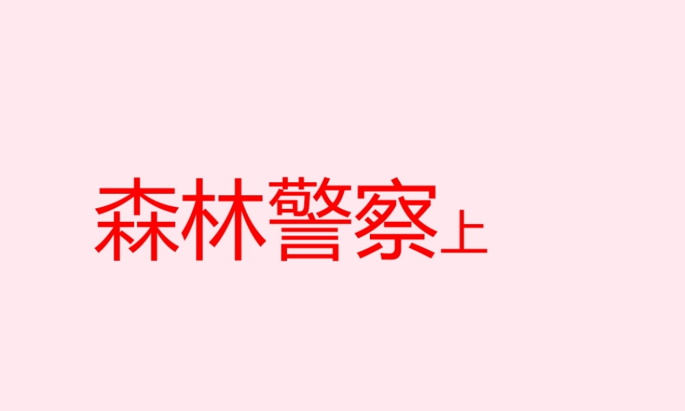 五年级语文上册 第一单元 4《森林警察》精品课件 北京版-北京版小学五年级上册语文课件