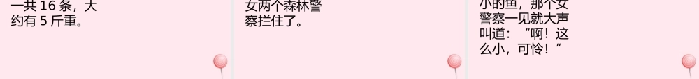五年级语文上册 第一单元 4《森林警察》精品课件 北京版-北京版小学五年级上册语文课件