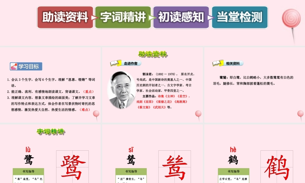 五年级语文上册 第一单元 5《动物二章》第2课时鹭鸶课件 冀教版-冀教版小学五年级上册语文课件
