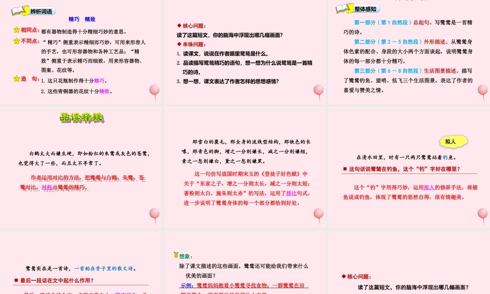五年级语文上册 第一单元 5《动物二章》第2课时鹭鸶课件 冀教版-冀教版小学五年级上册语文课件