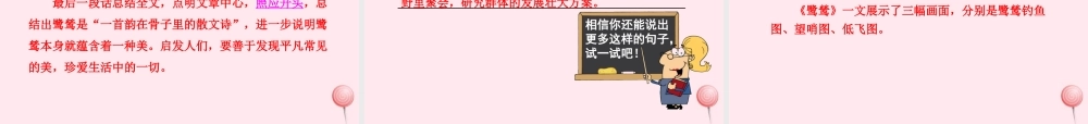五年级语文上册 第一单元 5《动物二章》第2课时鹭鸶课件 冀教版-冀教版小学五年级上册语文课件