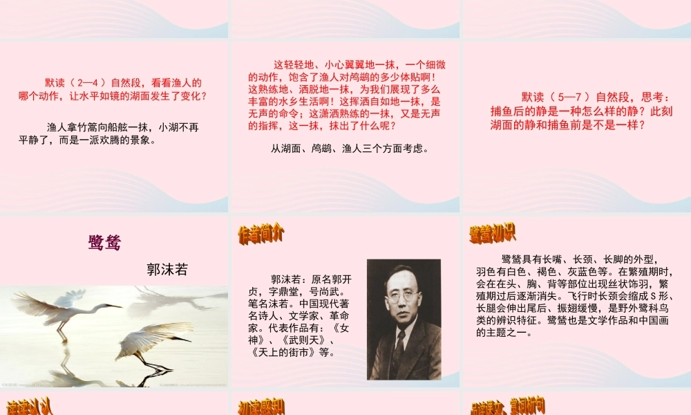 五年级语文上册 第一单元 5《动物二章》教学课件 冀教版-冀教版小学五年级上册语文课件