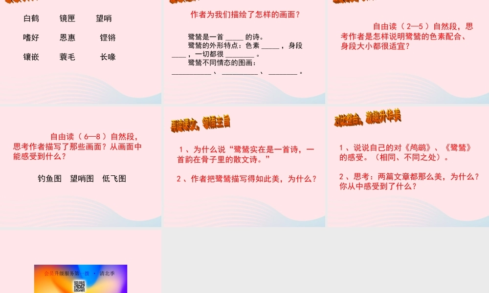 五年级语文上册 第一单元 5《动物二章》教学课件 冀教版-冀教版小学五年级上册语文课件