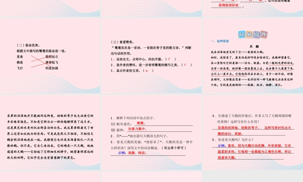 五年级语文上册 第一单元 5《动物二章》课后作业（B组）课件 冀教版-冀教版小学五年级上册语文课件