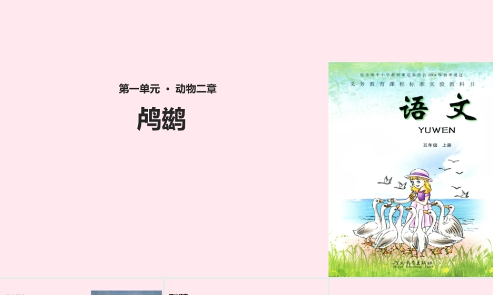 五年级语文上册 第一单元 5《动物二章》鸬鹚教学课件 冀教版-冀教版小学五年级上册语文课件