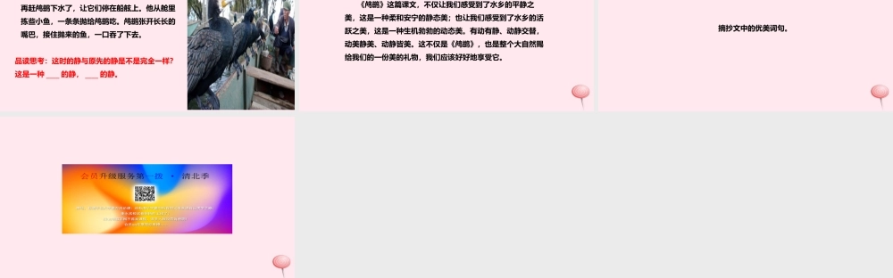 五年级语文上册 第一单元 5《动物二章》鸬鹚教学课件 冀教版-冀教版小学五年级上册语文课件