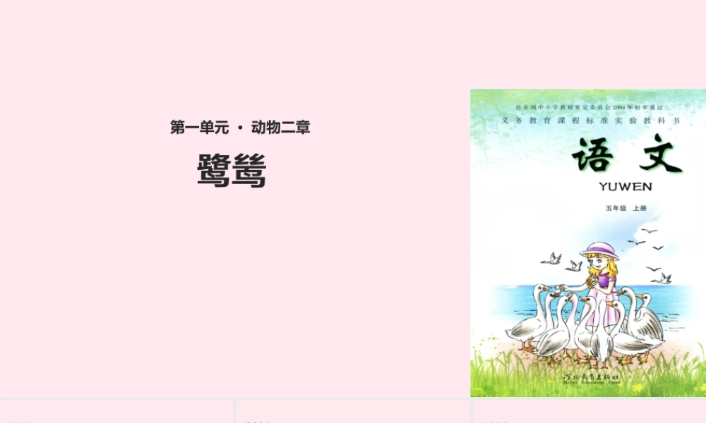 五年级语文上册 第一单元 5《动物二章》鹭鸶教学课件 冀教版-冀教版小学五年级上册语文课件