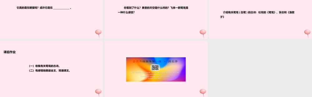 五年级语文上册 第一单元 5《动物二章》鹭鸶教学课件 冀教版-冀教版小学五年级上册语文课件