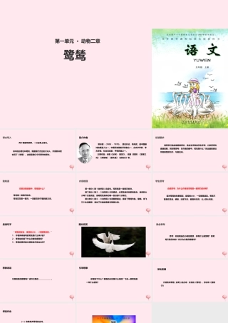 五年级语文上册 第一单元 5《动物二章》鹭鸶教学课件 冀教版-冀教版小学五年级上册语文课件
