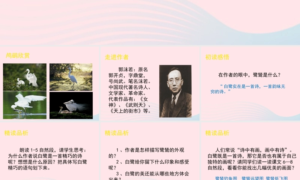 五年级语文上册 第一单元 5《动物二章》鹭鸶课件 冀教版-冀教版小学五年级上册语文课件