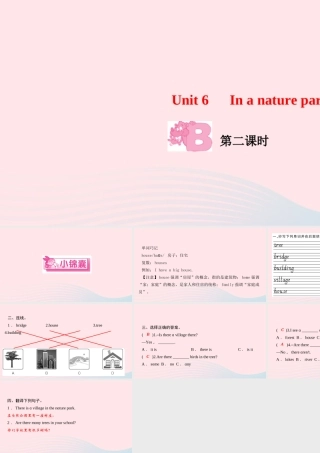 五年级英语上册 Unit 6 In a nature park Part B第二课时作业课件 人教PEP-人教PEP小学五年级上册英语课件