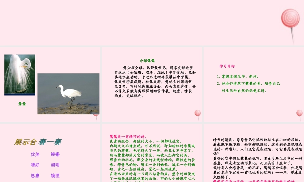 五年级语文上册 第一单元 5《动物二章》同步精品课件 冀教版-冀教版小学五年级上册语文课件