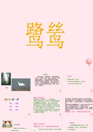 五年级语文上册 第一单元 5《动物二章》同步精品课件 冀教版-冀教版小学五年级上册语文课件